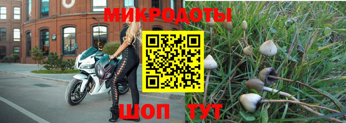 Ялуторовск  Псилоцибиновые грибы Psilocybine cubensis  Псилоцибиновые грибы Psilocybe  Вход с VPN 